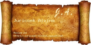 Juricsek Alvina névjegykártya